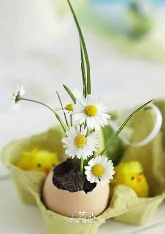 鸡蛋壳怎么做花盆图片 带来插花般的艺术美感