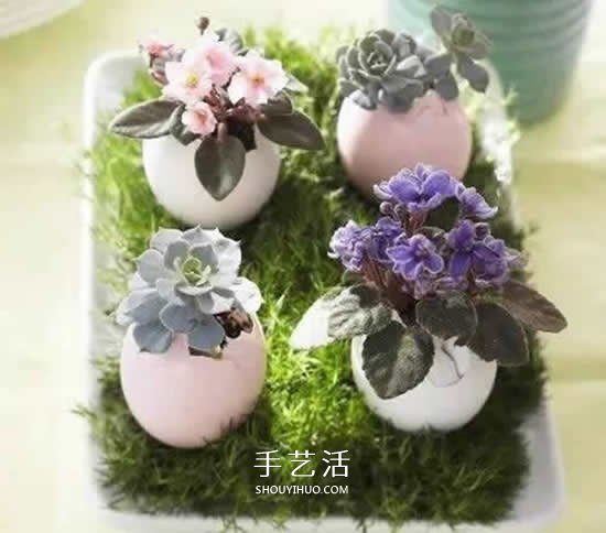 鸡蛋壳怎么做花盆图片 带来插花般的艺术美感