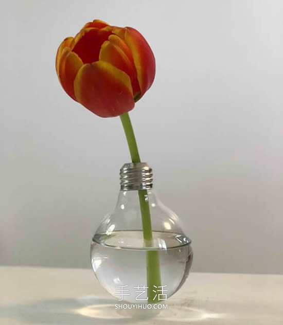 极简风格！用旧灯泡DIY优雅花瓶的方法