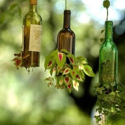 红酒瓶/玻璃瓶废物利用DIY实用家居用品