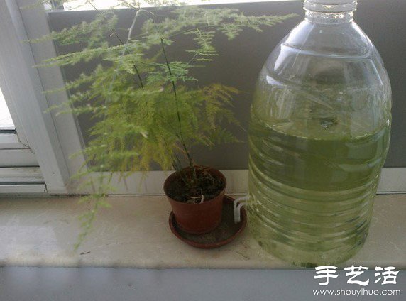 大桶矿泉水瓶废物利用制作自动浇水器