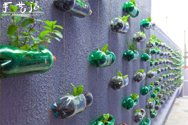 DIY墙上的垂直塑料瓶花园