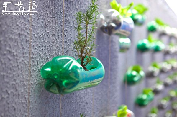 DIY墙上的垂直塑料瓶花园