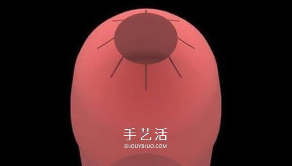 水火箭制作方法图解 自制水火箭的设计与制作