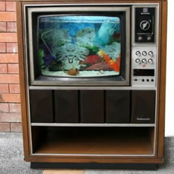 旧电视手工DIY改造怀旧鱼缸水族箱图解教程