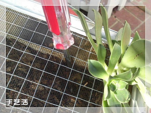 镜框改造多肉植物花盆 创意多肉花盆DIY方法