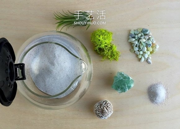 旧咖啡壶改造 DIY制作空气植物盆景的方法