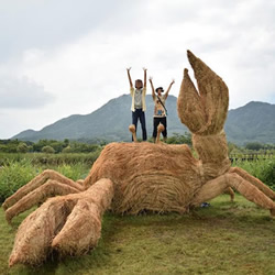 日本稻草艺术节 利用无用的秸秆制作大型雕塑