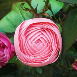 塑料包装带编织玫瑰花的方法图解教程
