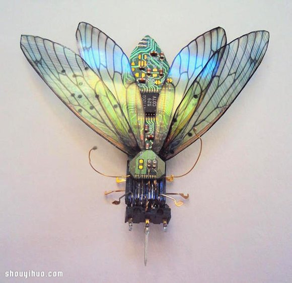 废弃电路板手工制作美丽的昆虫雕塑