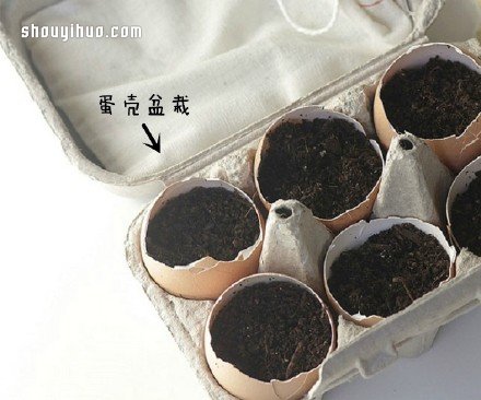 废物利用创意花盆盆栽DIY