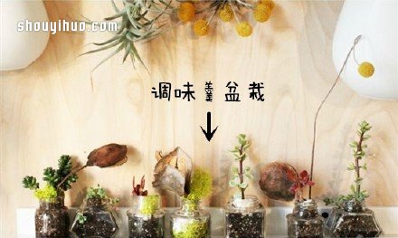 废物利用创意花盆盆栽DIY