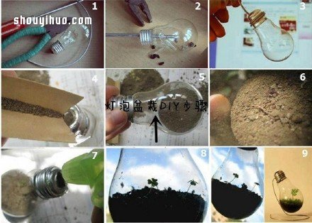 废物利用创意花盆盆栽DIY