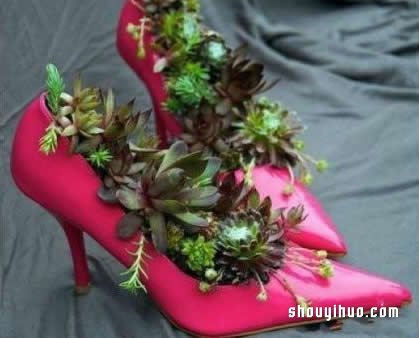 旧鞋子废物利用变花盆 DIY制作超有特色盆栽