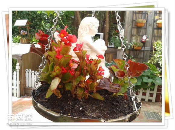 高压锅锅盖废物利用DIY制作花盆盆景的方法
