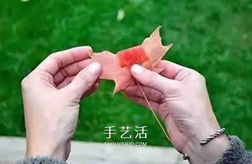 落叶制作玫瑰花图解 枫叶玫瑰花的做法步骤