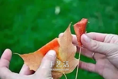 落叶制作玫瑰花图解 枫叶玫瑰花的做法步骤