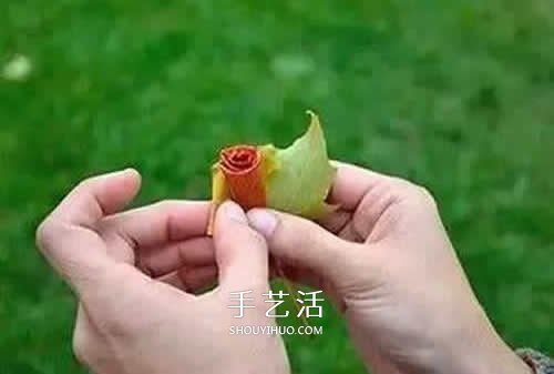 落叶制作玫瑰花图解 枫叶玫瑰花的做法步骤