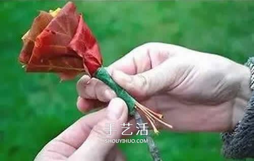 落叶制作玫瑰花图解 枫叶玫瑰花的做法步骤