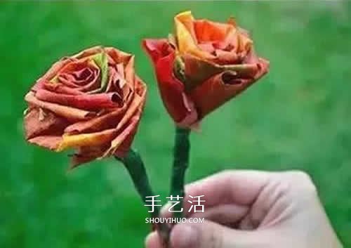 落叶制作玫瑰花图解 枫叶玫瑰花的做法步骤