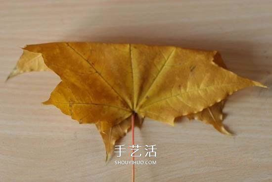 枫叶怎么做玫瑰花教程 简单枫叶玫瑰DIY方法