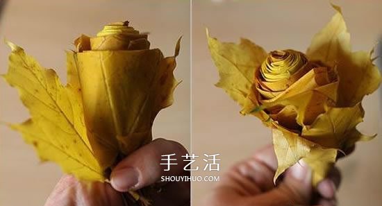 枫叶怎么做玫瑰花教程 简单枫叶玫瑰DIY方法