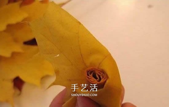 枫叶手工制作玫瑰花苞 树叶玫瑰花苞的做法