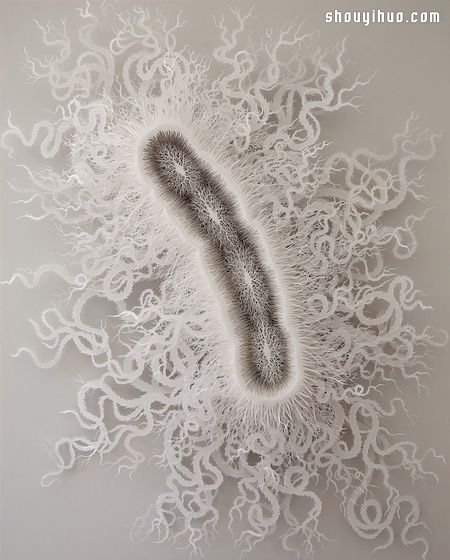 原来细菌也能这么美！超精细微生物纸雕