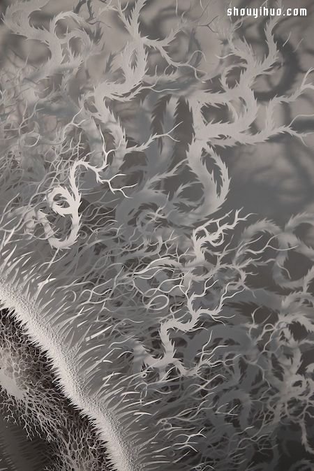 原来细菌也能这么美！超精细微生物纸雕