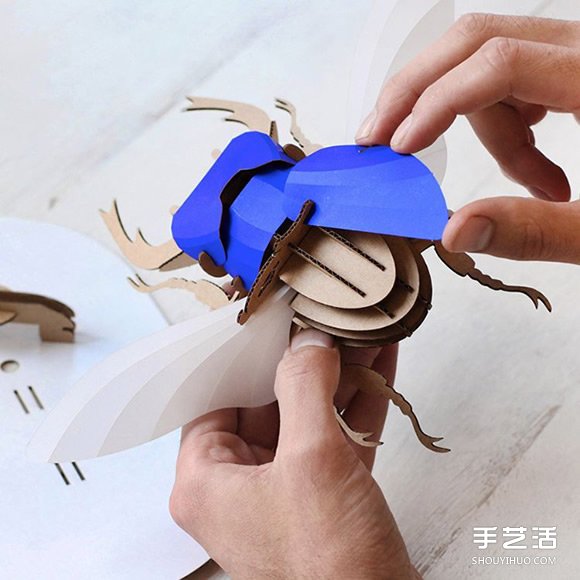 3D昆虫纸雕 通过拼图让你找回手作的乐趣