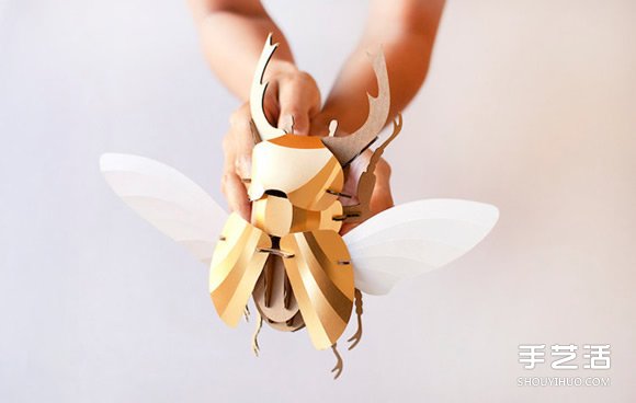3D昆虫纸雕 通过拼图让你找回手作的乐趣