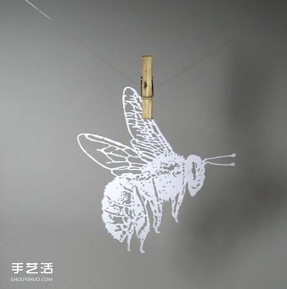 Sam的精美卡纸剪纸 不仅是爱好也是她的工作