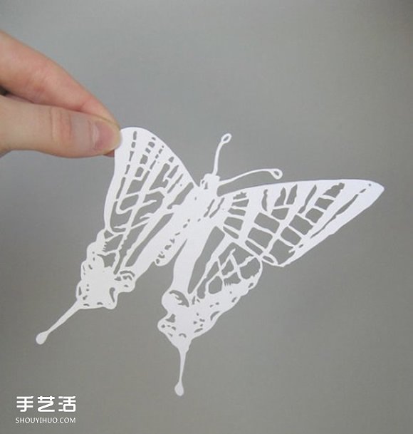 Sam的精美卡纸剪纸 不仅是爱好也是她的工作