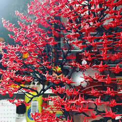 生长祝福的枝枒！1000 只千纸鹤伫足的盆栽树