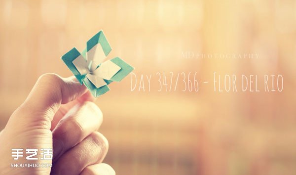 366天不间断折纸 来看看一位美国人的折纸作品
