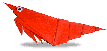 小虾手工折纸方法