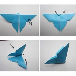 简单蝴蝶折纸图解 蝴蝶的折纸方法步骤教程