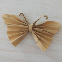 简单纸蝴蝶的折法步骤 怎么折蝴蝶的折叠方法