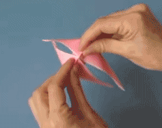 手工折纸蝴蝶的折法教程动态图