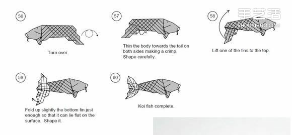 折纸美元鲤鱼的方法 用美元折鲤鱼怎么折图解