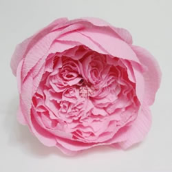 大卫奥斯汀玫瑰做法 美丽到极致的皱纹纸玫瑰
