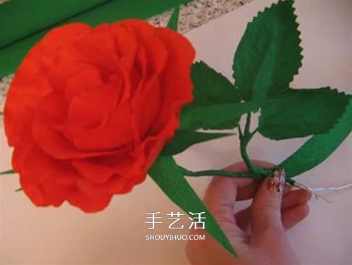 皱纹纸做花：漂亮纸玫瑰花的制作方法图解