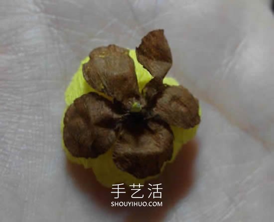 皱纹纸手工制作简单腊梅花的做法教程