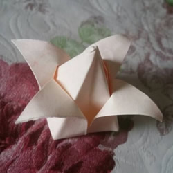百合花的折法简单易学 怎么折百合花的图片