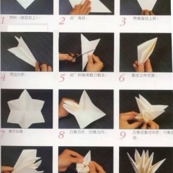 六瓣百合花折纸教程 折纸百合手工制作图解