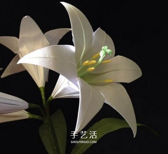 纸百合花的折法图解 折百合花的方法步骤