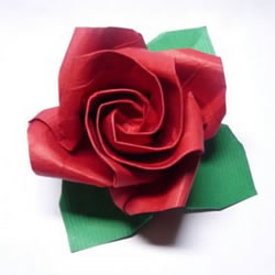玫瑰花的详细折纸步骤 折纸玫瑰的过程图解