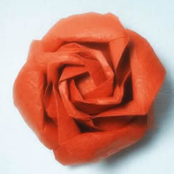 详细欧美玫瑰的折法图解 PT玫瑰怎么折步骤图