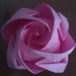 卷心式花心玫瑰花的折法 包括整形的经验心得