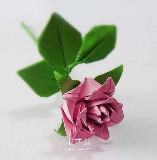 折卷心玫瑰的方法图解 详细卷心玫瑰折纸过程